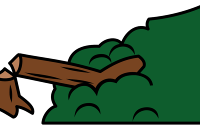 Sperrung in Schwarzbach